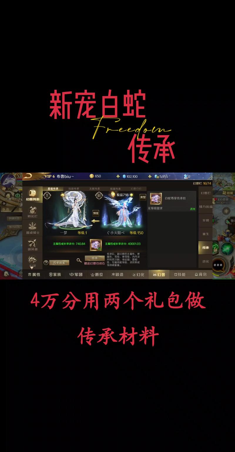 魔域SF指南,职业选择、装备获取与技能升级全攻略! 第3张 魔域SF指南,职业选择、装备获取与技能升级全攻略! 第3张