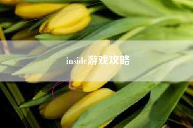 inside游戏攻略