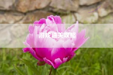 游戏通关攻略