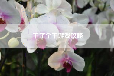羊了个羊游戏攻略