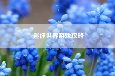 迷你世界游戏攻略