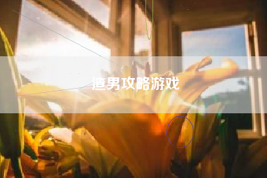渣男攻略游戏