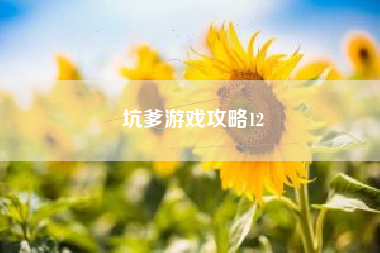 坑爹游戏攻略12