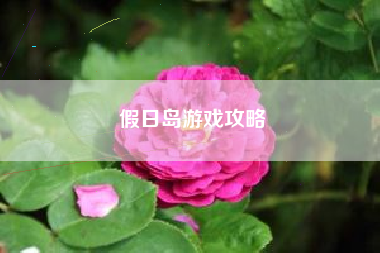 假日岛游戏攻略