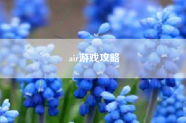 air游戏攻略