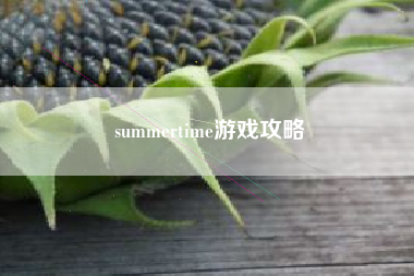summertime游戏攻略