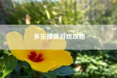 多乐捕鱼游戏攻略