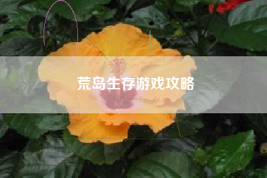 荒岛生存游戏攻略  第1张