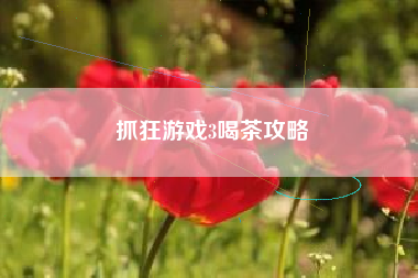 抓狂游戏3喝茶攻略