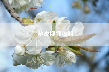 游戏视频攻略