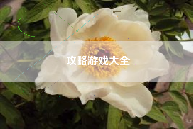 攻略游戏大全