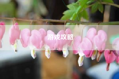 游戏攻略