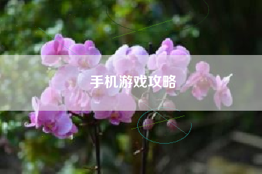 手机游戏攻略