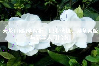 天龙八部sf全解析，职业选择、装备系统与新手入门指南！