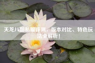天龙八部私服评测，版本对比、特色玩法全解析！  第1张