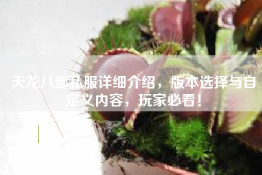 天龙八部私服详细介绍，版本选择与自定义内容，玩家必看！