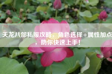 天龙八部私服攻略，角色选择+属性加点，助你快速上手！
