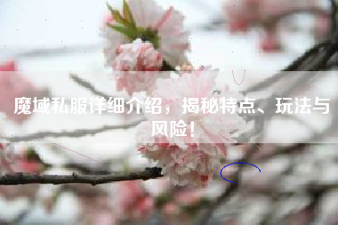 魔域私服详细介绍，揭秘特点、玩法与风险！  第1张
