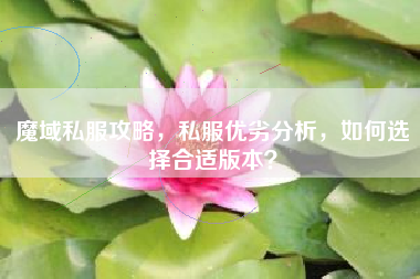 魔域私服攻略，私优劣分析，如何选择合适版本？