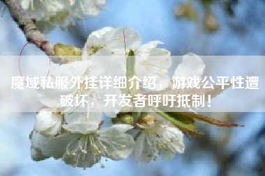 魔域私服外挂详细介绍，游戏公平性遭破坏，开发者呼吁抵制！