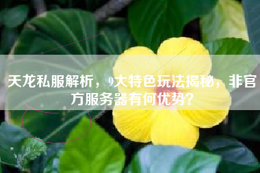 天龙私服解析，9大特色玩法揭秘，非官方服务器有何优势？