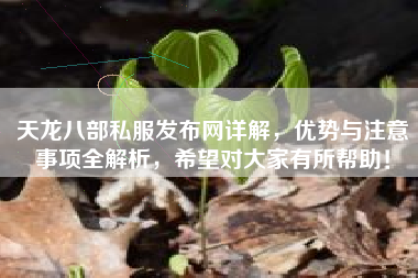 天龙八部私服发布网详解，优势与注意事项全解析，希望对大家有所帮助！  第1张