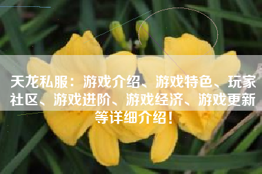 天龙私服：游戏介绍、游戏特色、玩家社区、游戏进阶、游戏经济、游戏更新等详细介绍！