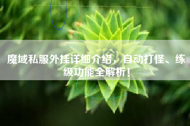 魔域私服外挂详细介绍，自动打怪、练级功能全解析！