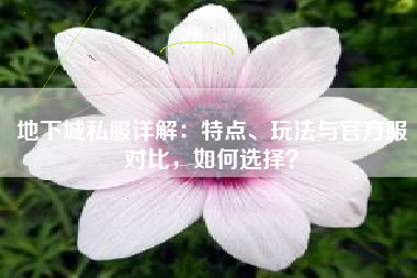 地下城私服详解：特点、玩法与官方服对比，如何选择？