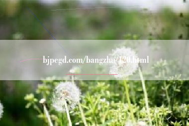 bjpegd.com/bangzhu/120.html