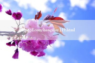 bjpegd.com/bangzhu/119.html