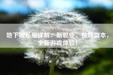 地下城私服详解：新职业、独特副本，全新游戏体验！