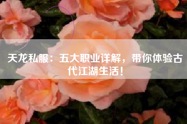 天龙私服：五大职业详解，带你体验古代江湖生活！