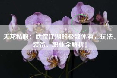 天龙私服：武侠江湖的极致体验，玩法、装备、职业全解析！