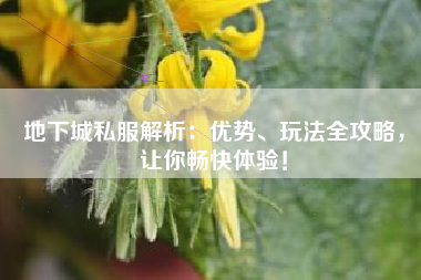 地下城私服解析：优势、玩法全攻略，让你畅快体验！