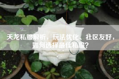 天龙私服解析，玩法优化、社区友好，如何选择最佳私？