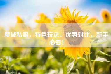 魔域私服，特色玩法、优势对比，新手必看！