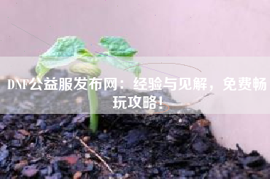 DNF公益服发布网：经验与见解，免费畅玩攻略！