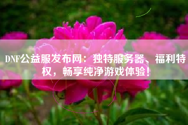 DNF公益服发布网：独特服务器、福利特权，畅享纯净游戏体验！