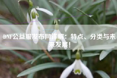 DNF公益服发布网详解：特点、分类与未来发展！