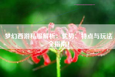 梦幻西游私服解析：优势、特点与玩法全指南！