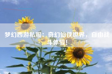 梦幻西游私服：奇幻仙侠世界，自由战斗体验！