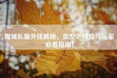 魔域私服外挂揭秘，类型、风险与玩家必看指南！