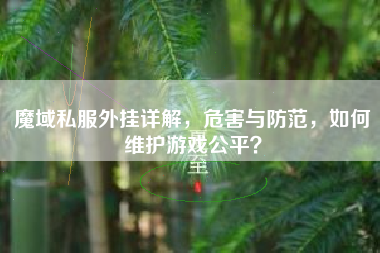 魔域私服外挂详解，危害与防范，如何维护游戏公平？