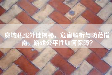 魔域私服外挂揭秘，危害解析与防范指南，游戏公平性如何保障？