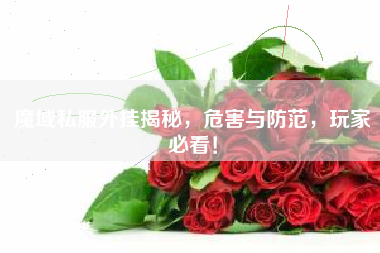 魔域私服外挂揭秘，危害与防范，玩家必看！