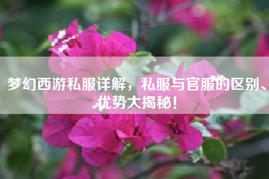梦幻西游私服详解，私与官服的区别、优势大揭秘！