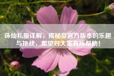 诛仙私服详解，揭秘非官方版本的乐趣与挑战，希望对大家有所帮助！