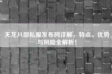 天龙八部私服发布网详解，特点、优势与风险全解析！