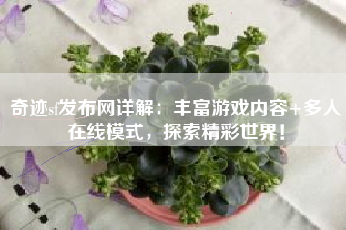 奇迹sf发布网详解：丰富游戏内容+多人在线模式，探索精彩世界！  第1张